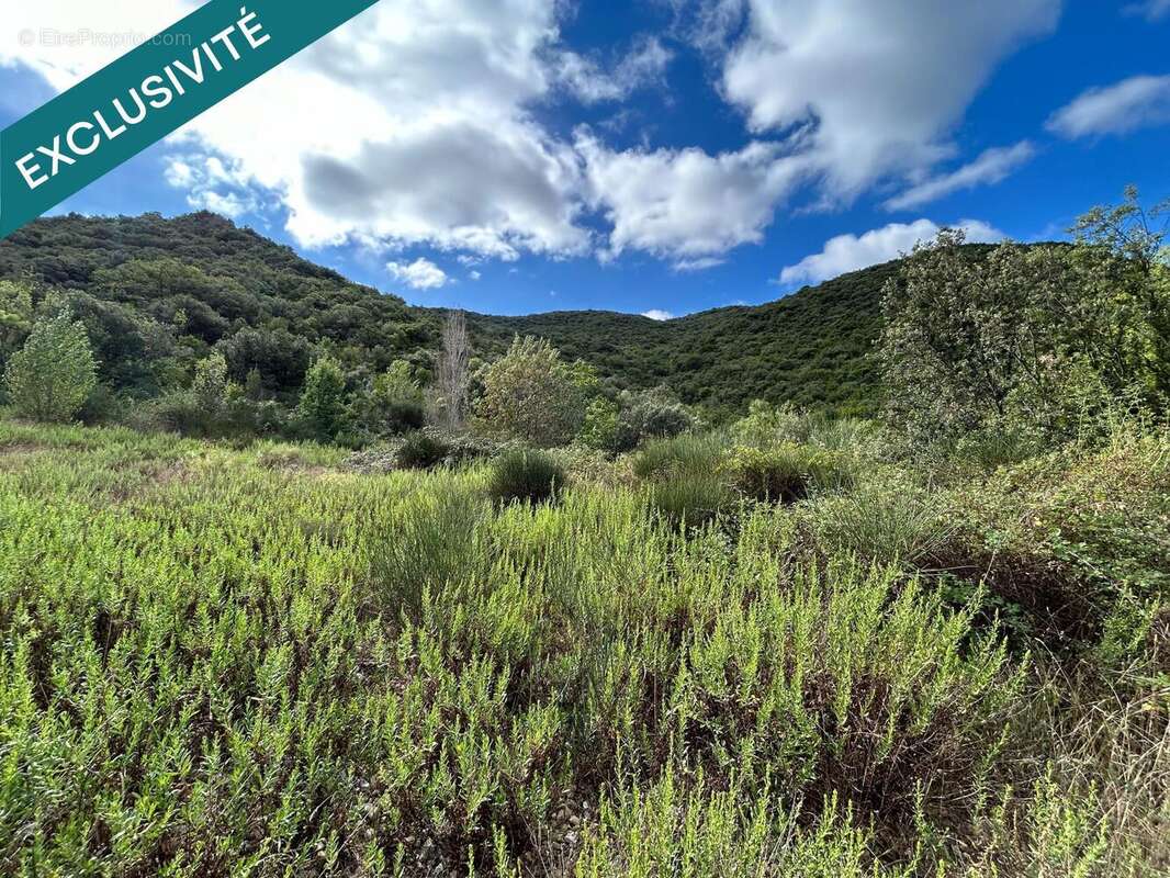 Photo 4 - Terrain à BEDARIEUX