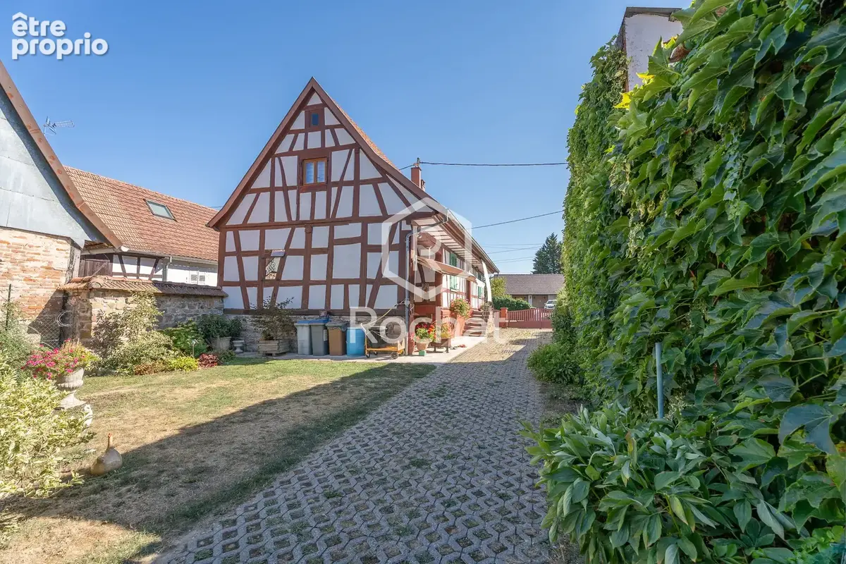 Viager occupé   authentique maison alsacienne de caractère   117,75 m2 habitables - photo 35