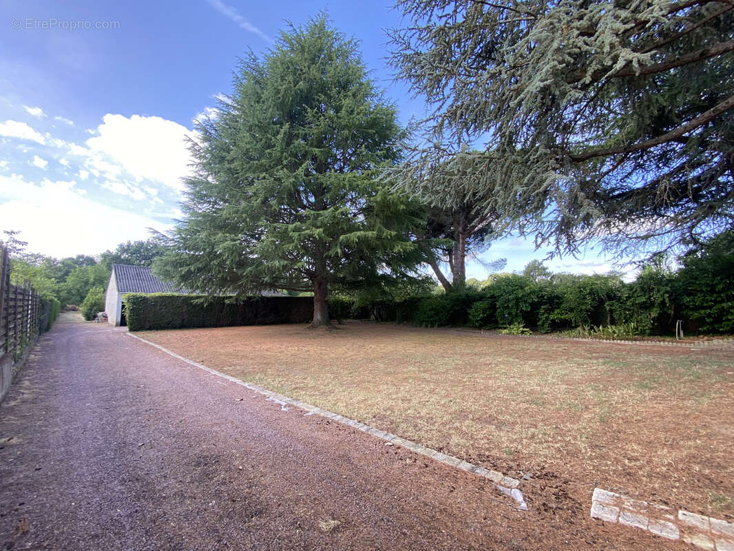 Maison à CHOUZE-SUR-LOIRE