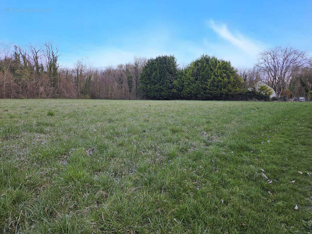 Terrain à SAINT-SAUVEUR-LES-BRAY