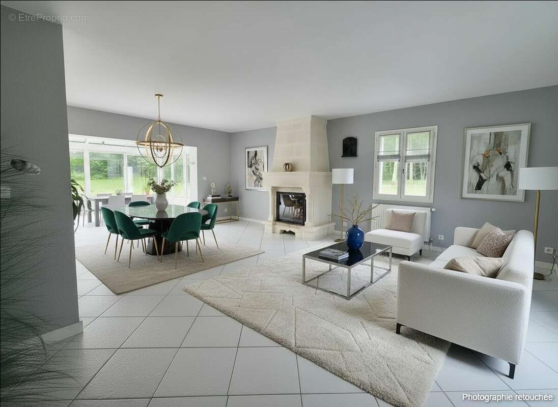 photo retouchée - Maison à SAVONNIERES