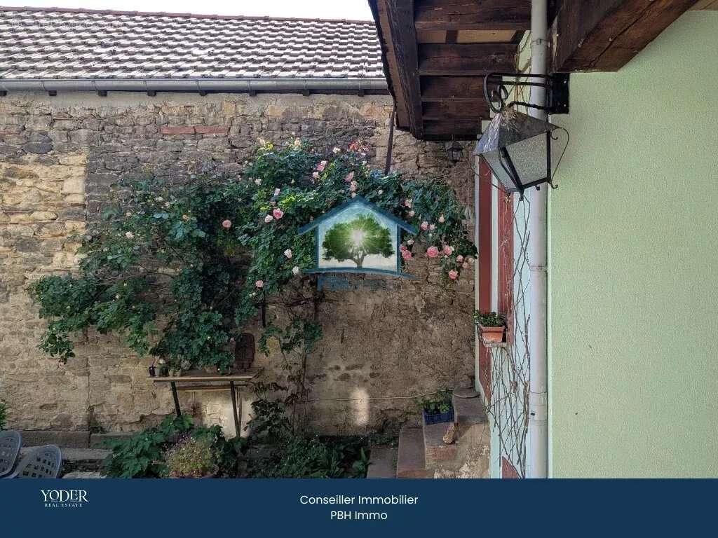 Maison à NIEDERMODERN