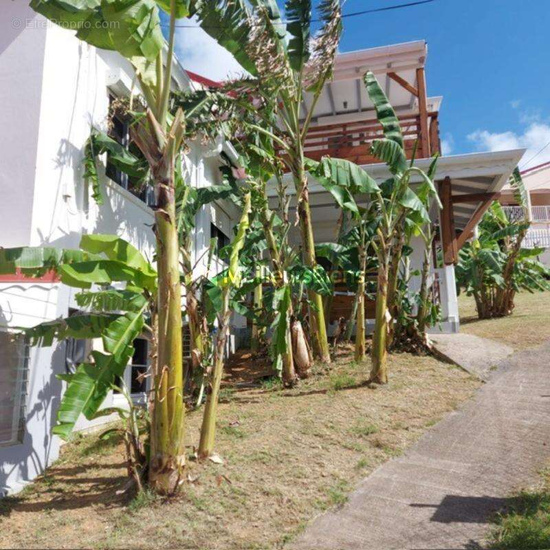 Maison à TERRE-DE-HAUT