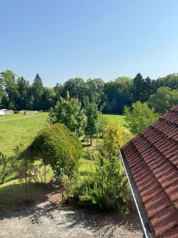 Maison à LANGENSOULTZBACH
