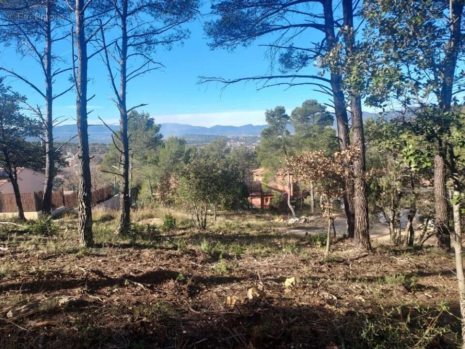Terrain 964 m² à Rocbaron  - photo 3