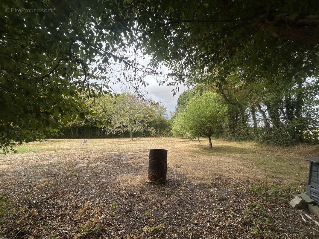 Propriété de 7473 m2 située au calme : maison avec dépendance et étang - photo 24