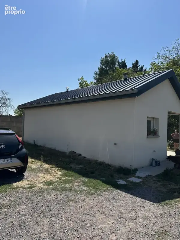 IMG_3444