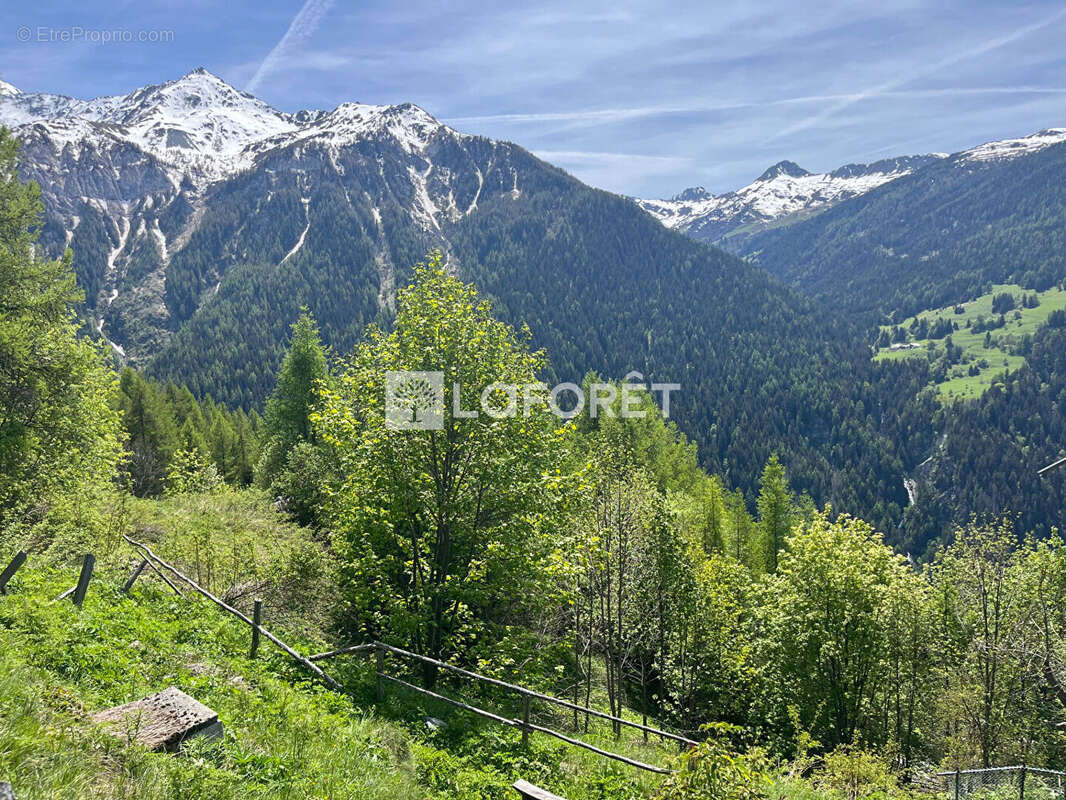 73210 Peisey-Nancroix Chalet T5 skis aux pieds avec vue exceptionnelle - photo 2