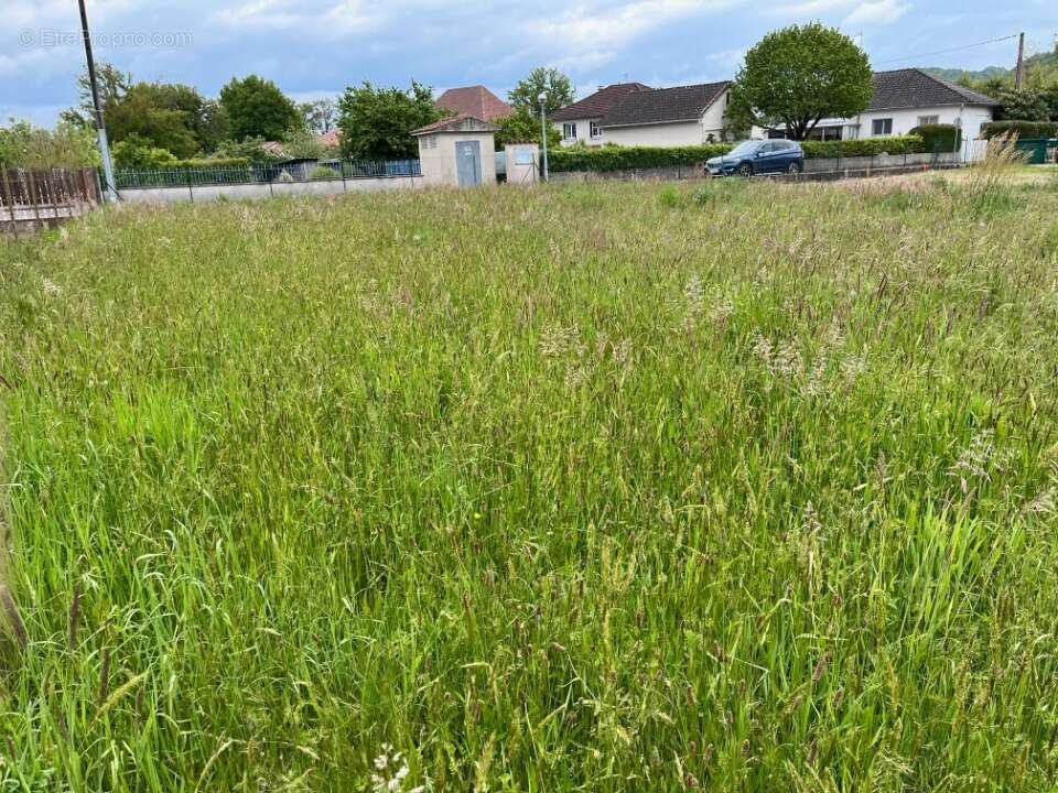 Terrain à PRUDHOMAT