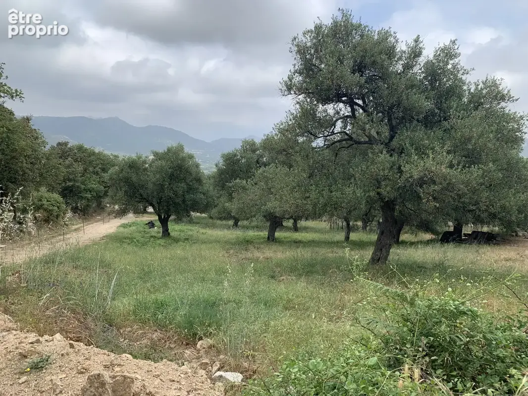 Terrain à batir . - photo 3