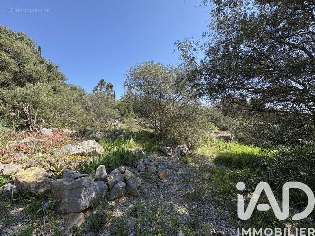 Photo 4 - Terrain à LA PALME