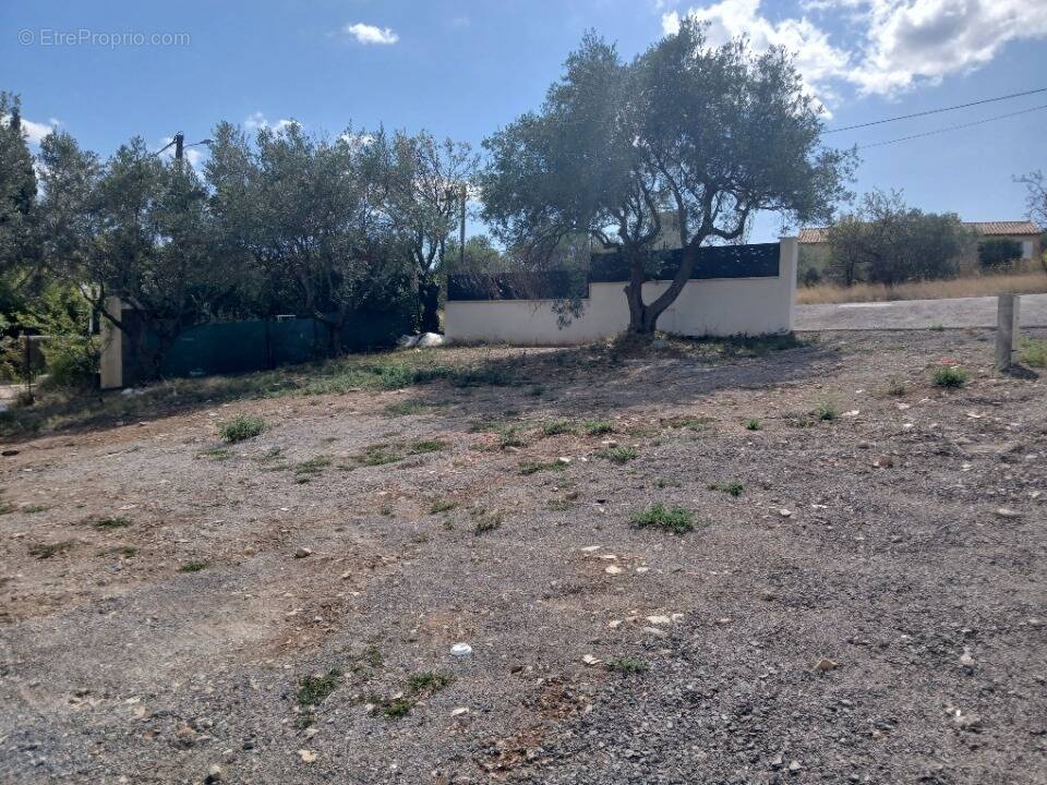 Terrain à COURNONTERRAL