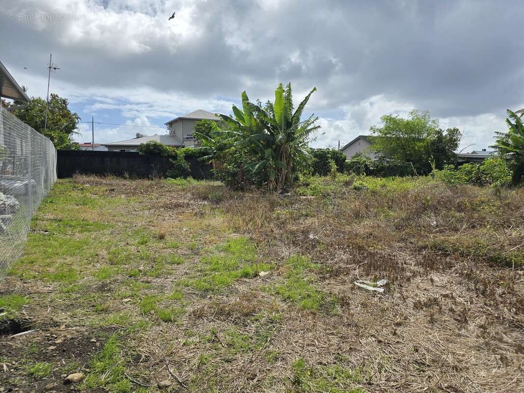 Terrain à BRAS-PANON