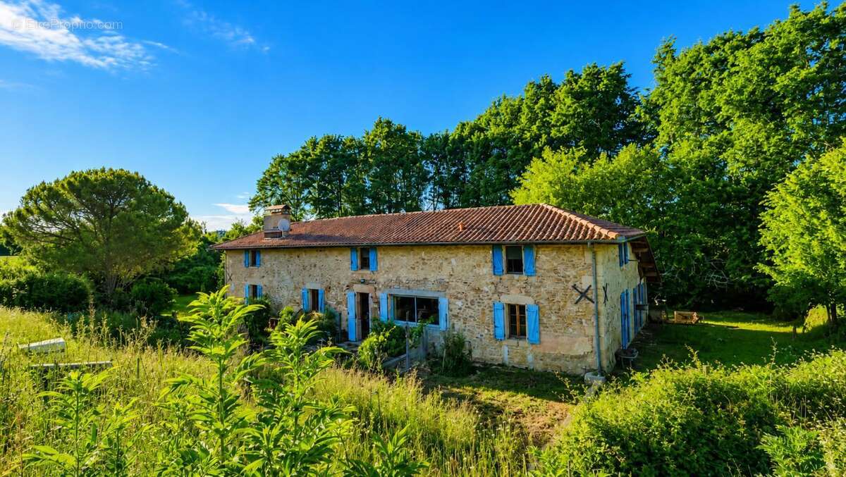 Maison en Pierre 280m² - Terrain 20 317 m² - Dépendances - PISCINE - photo 16