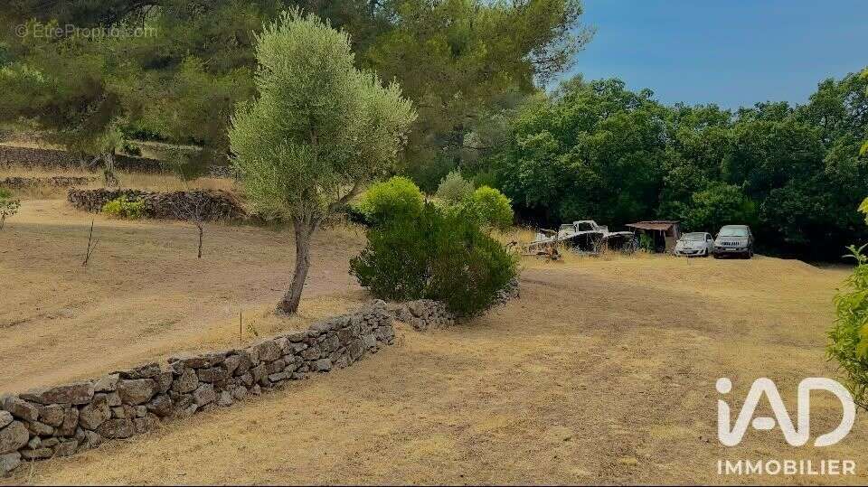 Photo 9 - Maison à HYERES