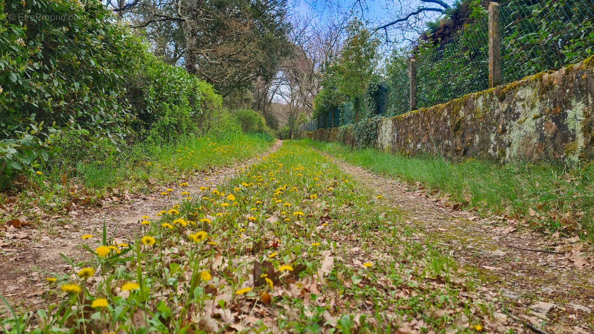 Terrain à LA BRUGUIERE