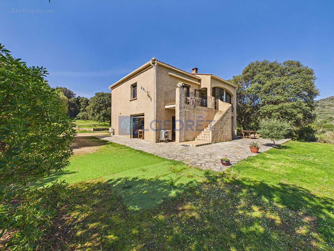 Maison à BELVEDERE-CAMPOMORO