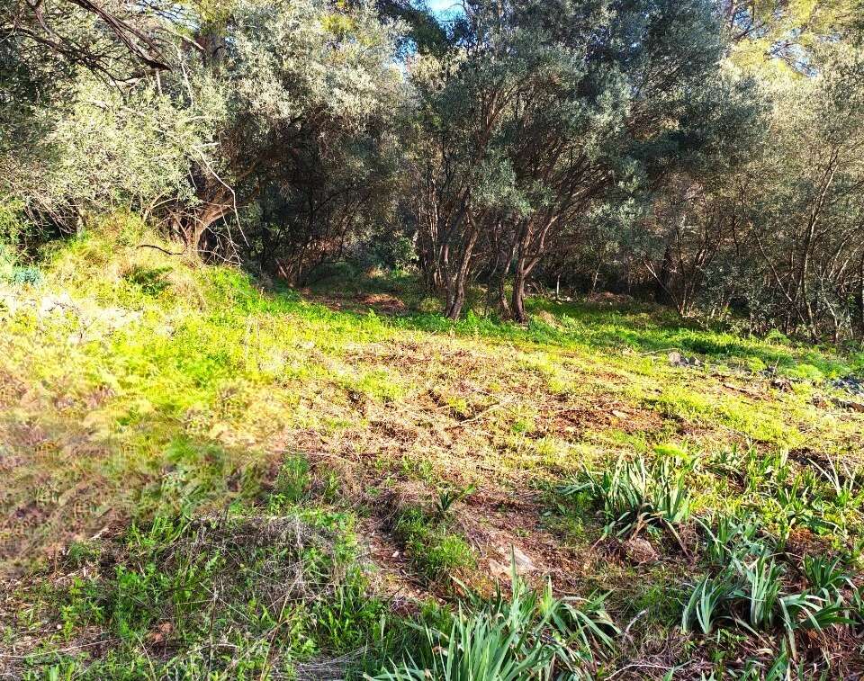 Terrain à TOULON