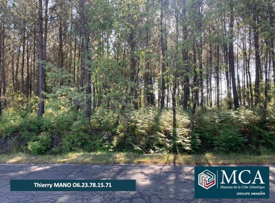 Terrain à SANGUINET