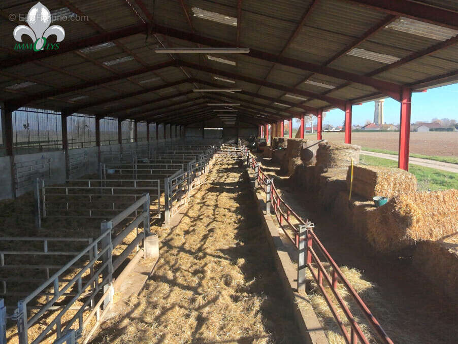 Autre à SAINT-JEAN-DE-LOSNE