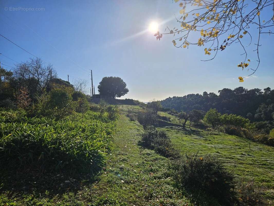 Terrain à SAINT-LAURENT-DU-VAR