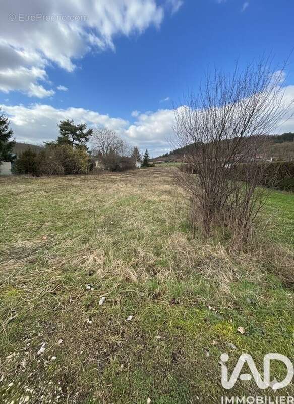 Terrain 1321 m² à Saint-Aubin-Sur-Yonne  - photo 2