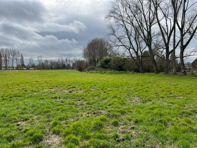 Corps de Ferme avec box , grange et maison annexe - photo 12