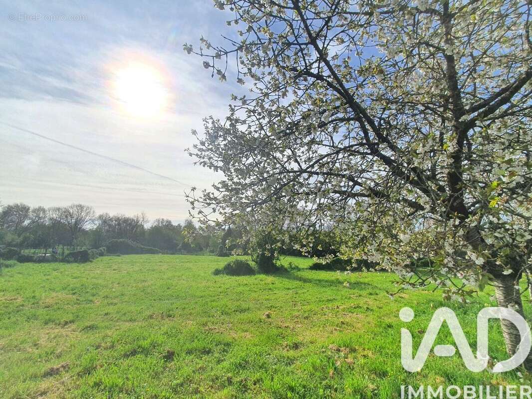 Terrain 2810 m² à Saint-Vincent-Sur-Graon  - photo 4