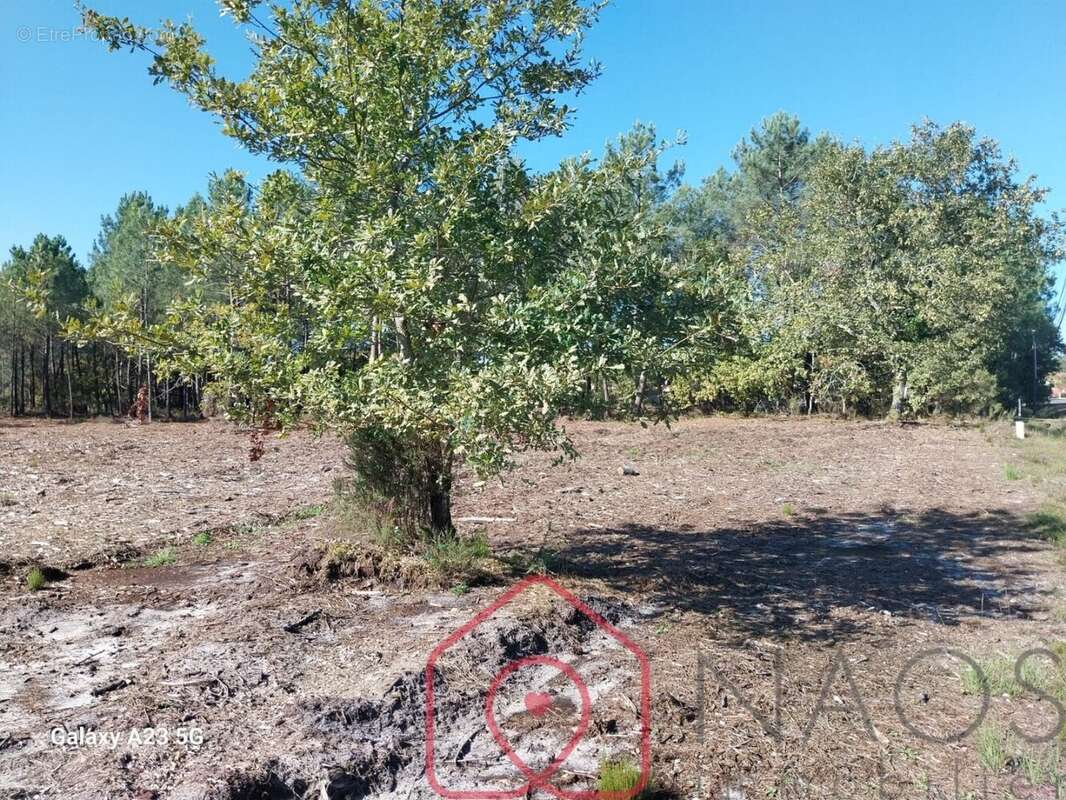 Terrain à PARENTIS-EN-BORN