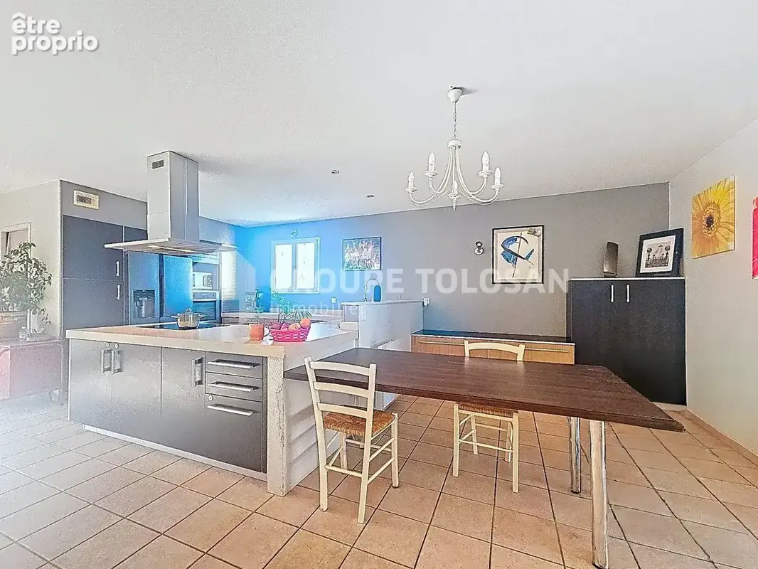 Maison 8 pièces 205 m² à vendre à Montlaur (31450) - photo 6
