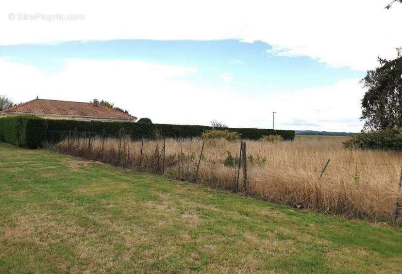 Terrain 1550 m² à Perthes-Les-Brienne  - photo 2