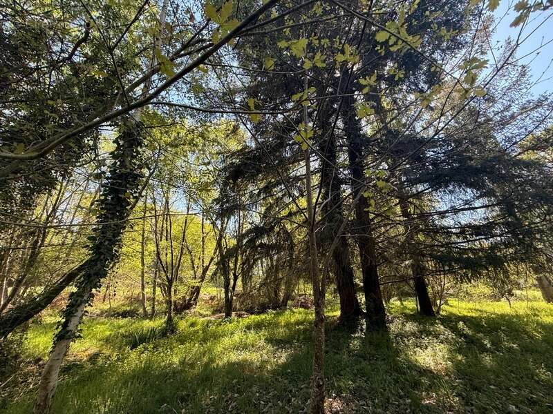 Maison à SAINT-VAURY