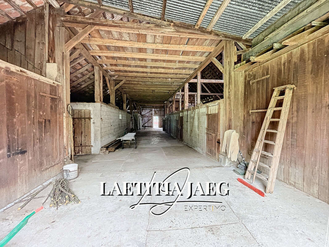 Terrain à BOOFZHEIM