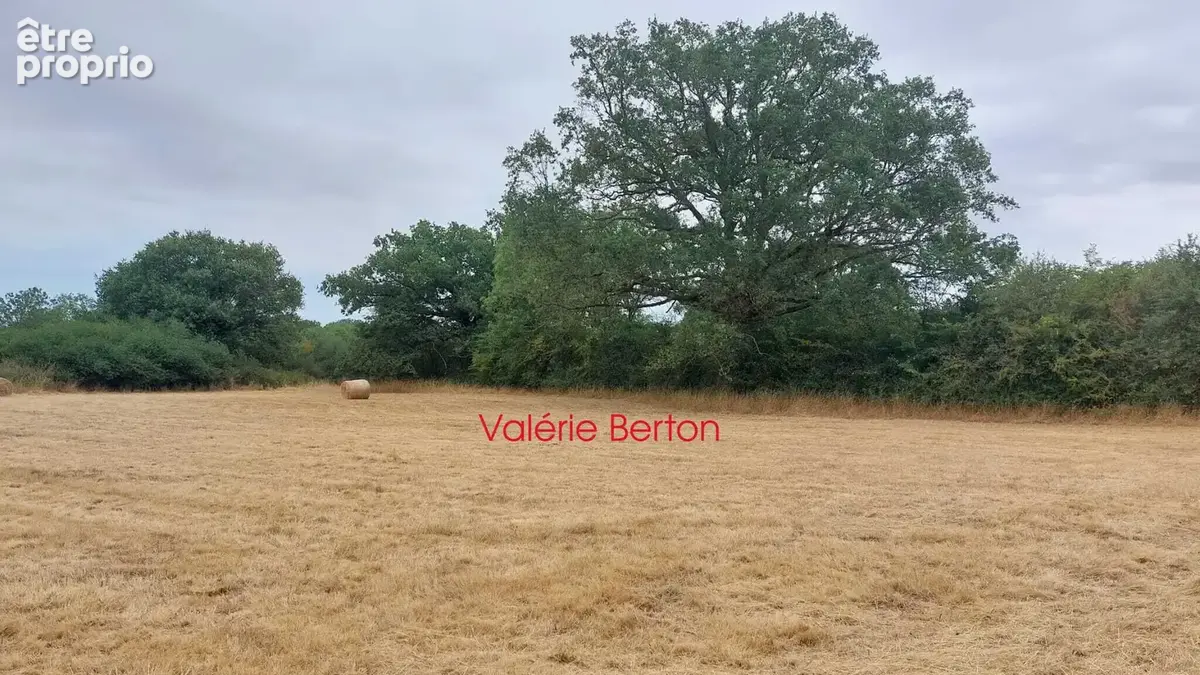 Terrain 4 920 m² à vendre à Bouesse (36200) - photo 8