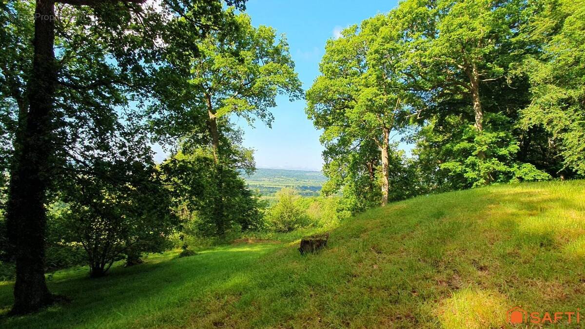 Photo 1 - Terrain à SAINT-GATIEN-DES-BOIS