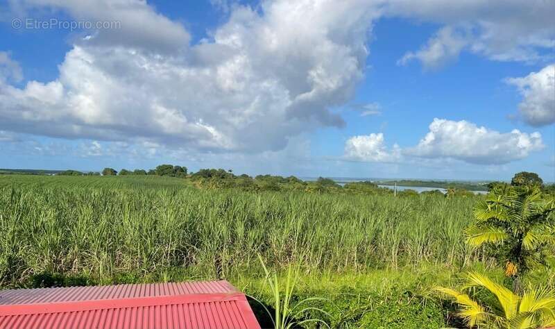Maison à BAIE-MAHAULT