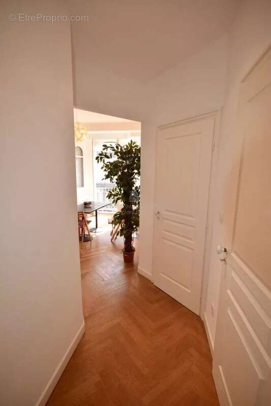 Studio vente palais ophelia - photo 3