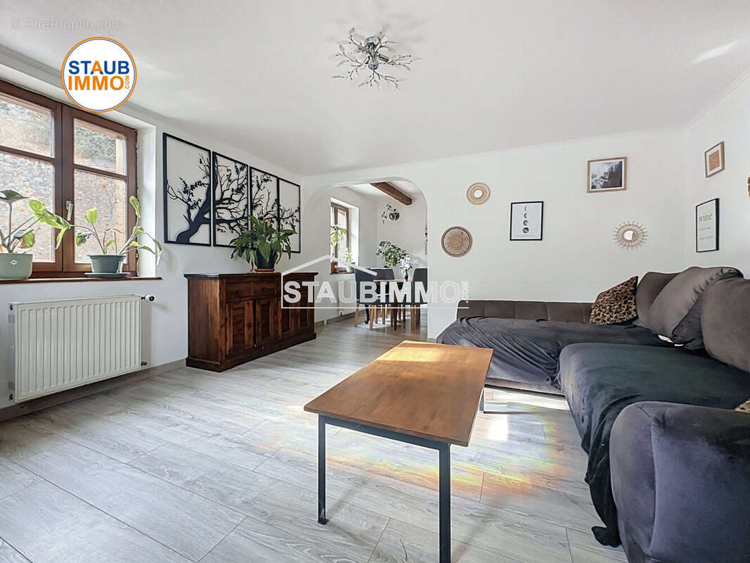 Maison 157 m² à Buschwiller  - photo 7