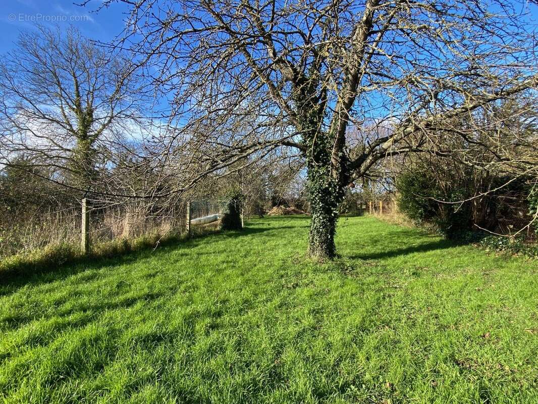 Maison à LE MINIHIC-SUR-RANCE