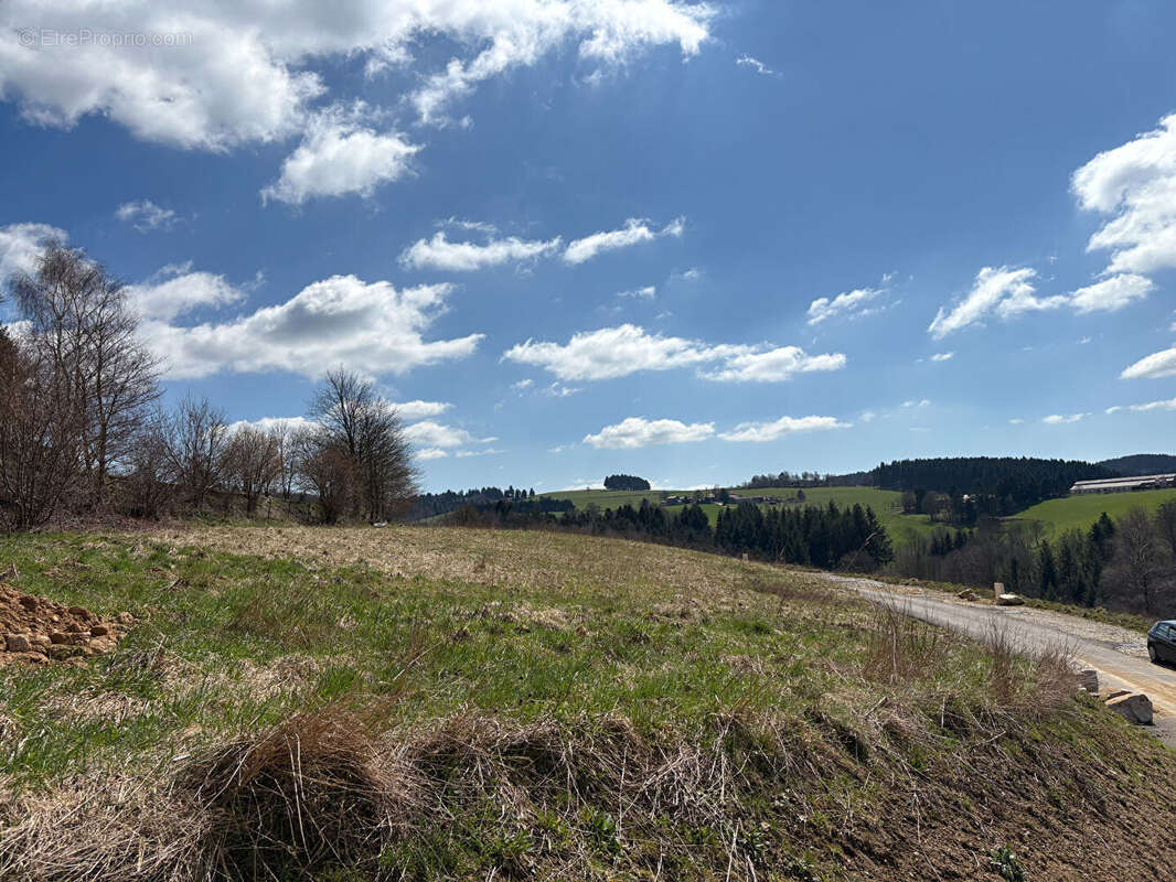 Terrain à SAINT-ROMAIN-LES-ATHEUX