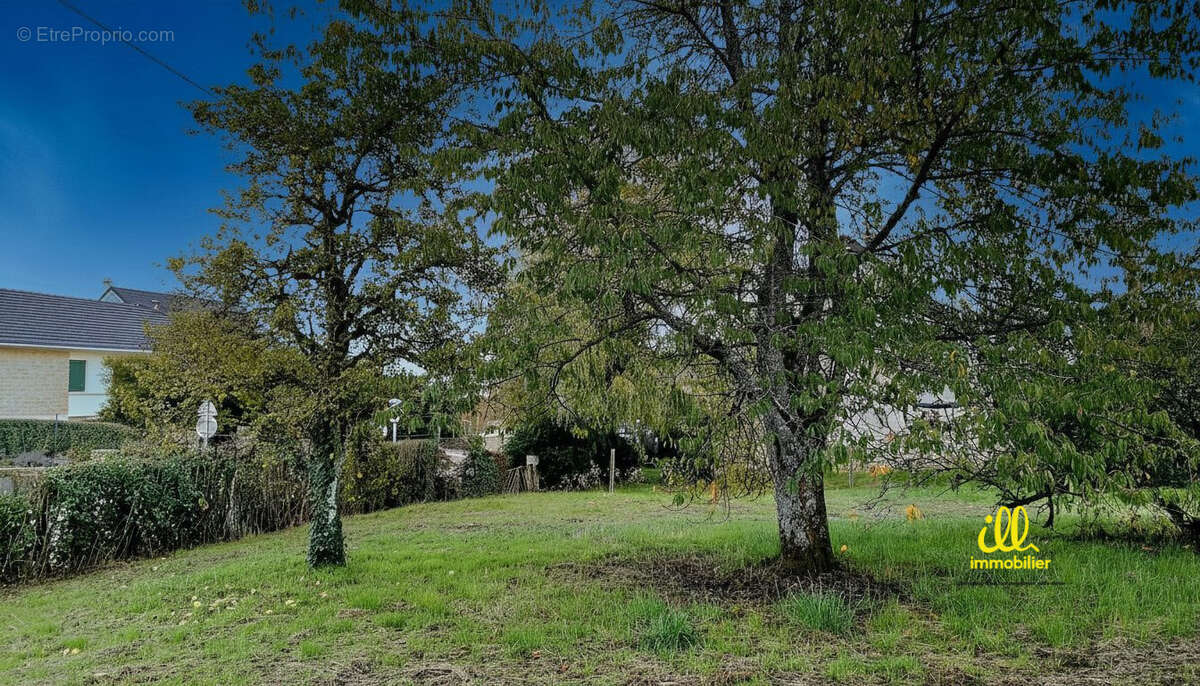 Terrain à MESSINCOURT