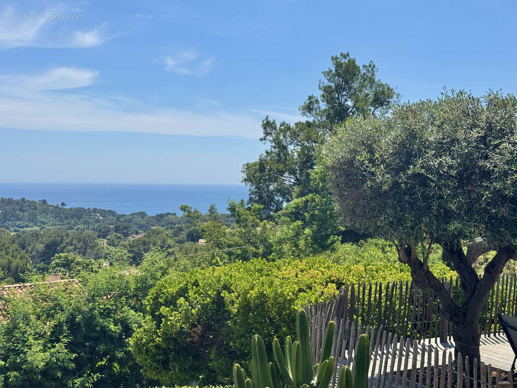 Maison à LA CROIX-VALMER