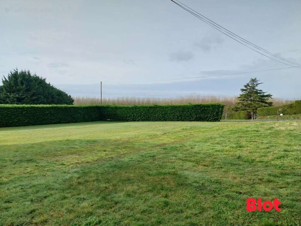 Terrain à LANCIEUX