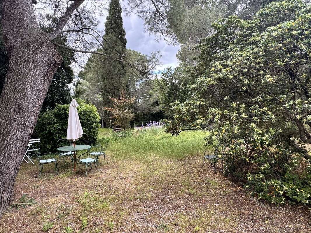 Photo 4 - Maison à PEZENAS