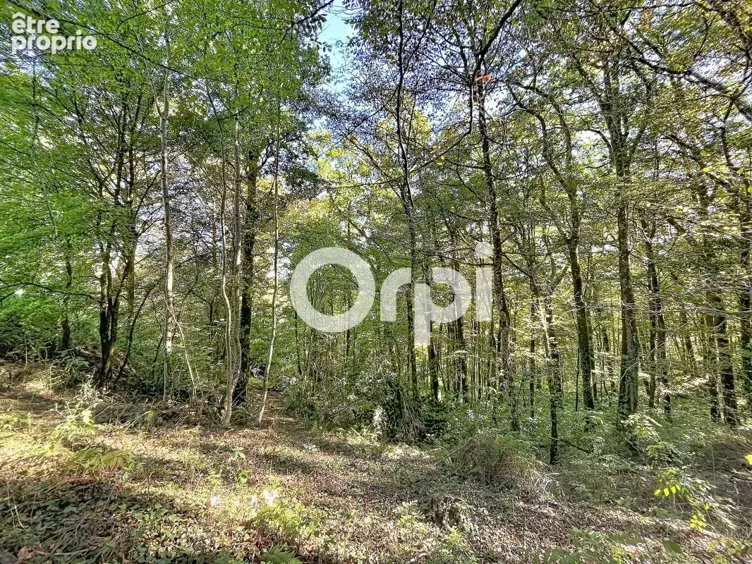 Maison À Vendre - photo 24