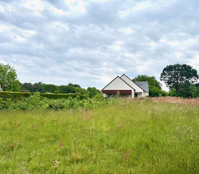Terrain à NOZAY
