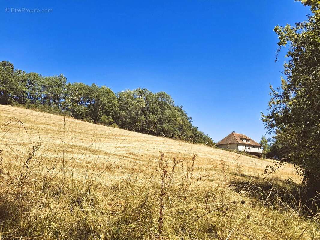 Grande maison familiale avec 2 hectares de terrain, dépendances et vue imprenable sur la campagne - photo 16