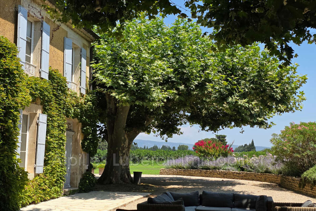 Maison 475 m² à L'isle-Sur-La-Sorgue  - photo 4