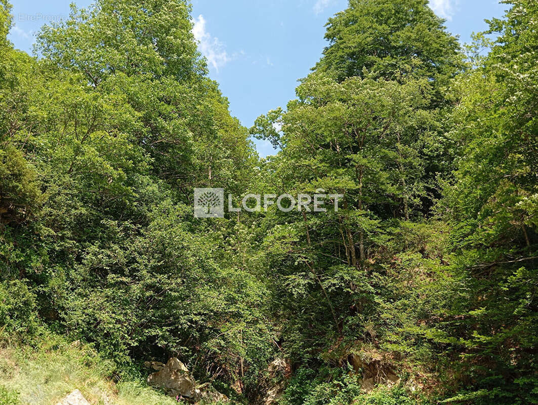 Appartement à LAMANERE