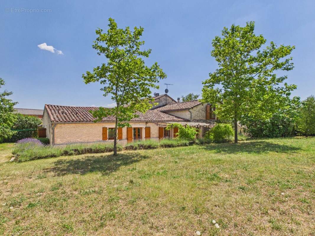 Maison à CORDES-SUR-CIEL